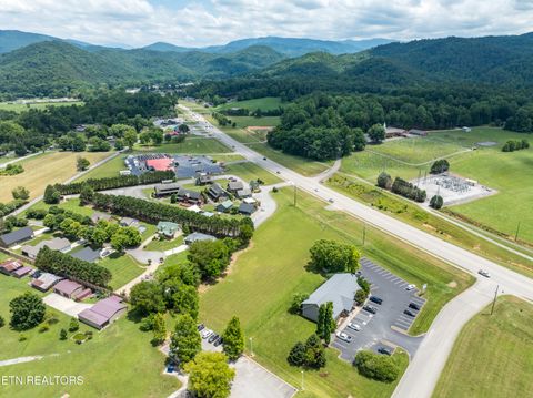 8017 E Lamar Alexander Pkwy Townsend TN 37882