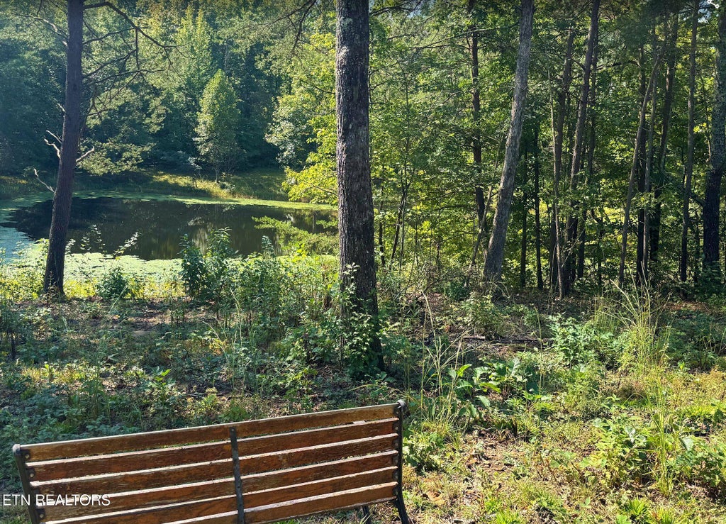 Photo of 126 Bo'S Way, Deer Lodge, TN 37726 (MLS # 1356723)