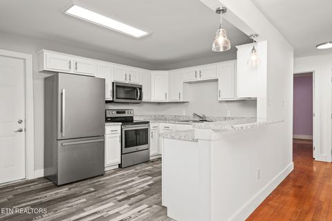 Tiny photo for 287 Watson Ave, Spring City, TN 37381 (MLS # 1321319)