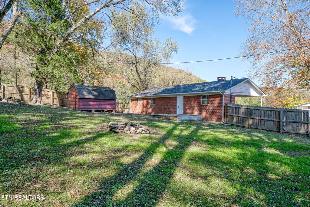 Photo of 287 Watson Ave, Spring City, TN 37381 (MLS # 1321319)