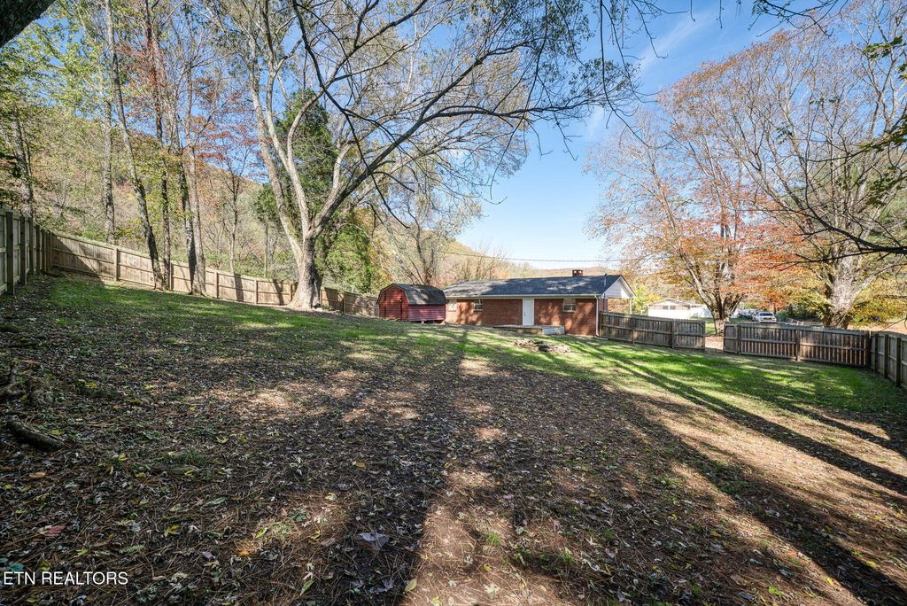 Photo of 287 Watson Ave, Spring City, TN 37381 (MLS # 1321319)