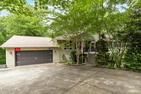 620 Hawk View Drive Townsend TN 37882