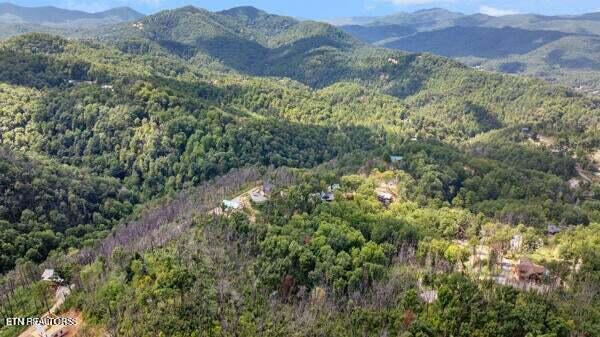 Lot 13-AR Villa Ridge Place