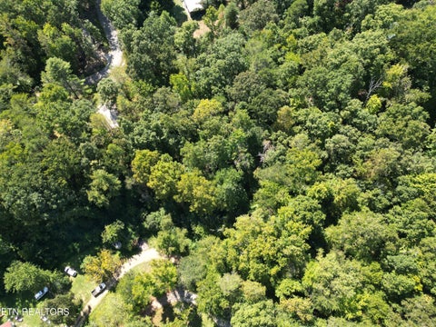 Tiny photo for White St, Rockwood, TN 37854 (MLS # 1357424)