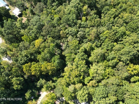 Photo of White St, Rockwood, TN 37854 (MLS # 1357424)