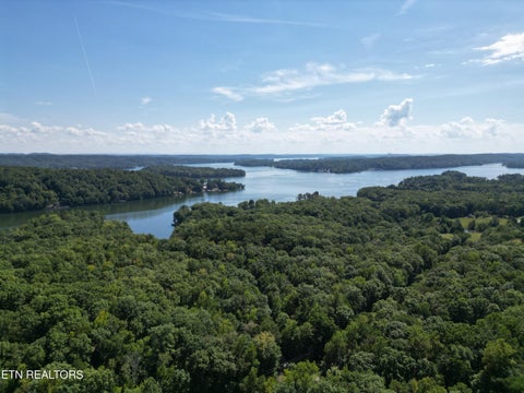 Tiny photo for White St, Rockwood, TN 37854 (MLS # 1357424)
