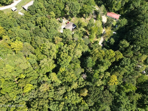 Tiny photo for White St, Rockwood, TN 37854 (MLS # 1357424)