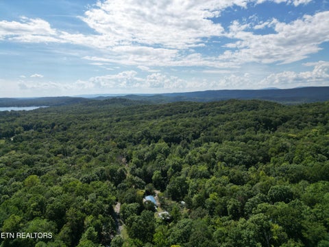 Tiny photo for White St, Rockwood, TN 37854 (MLS # 1357424)