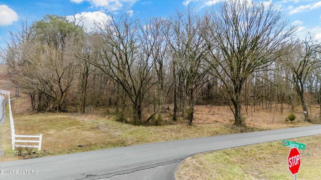 Photo of Indian Ridge Rd, Blaine, TN 37709 (MLS # 1288154)