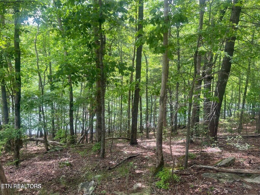 Photo of 106 Chatham LN, Fairfield Glade, TN 38558 (MLS # 1336742)