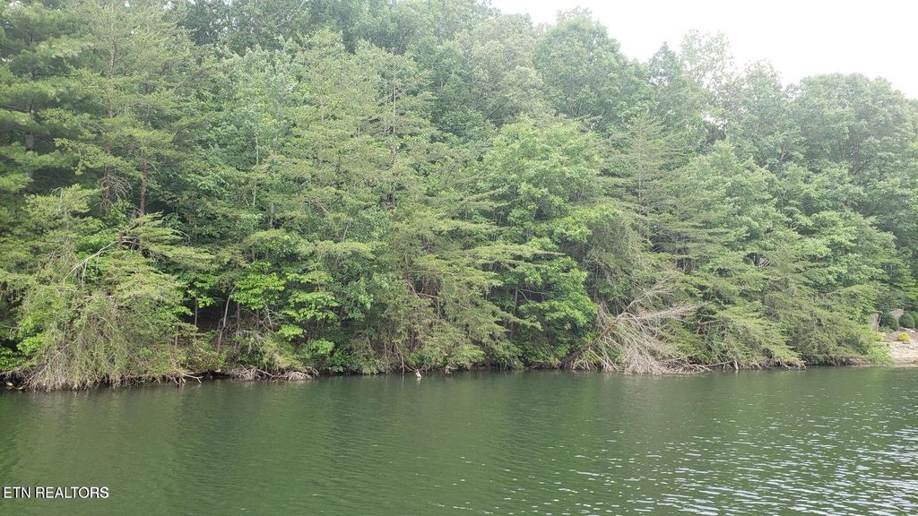 Photo of 106 Chatham LN, Fairfield Glade, TN 38558 (MLS # 1336742)