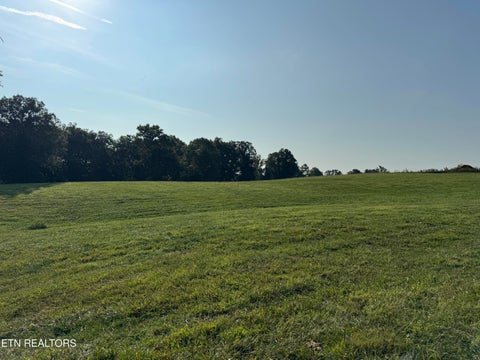 Tiny photo for 3854 Rugby Pike, Allardt, TN 38504 (MLS # 1355981)