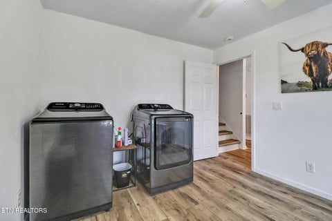 Tiny photo for 3854 Rugby Pike, Allardt, TN 38504 (MLS # 1355981)