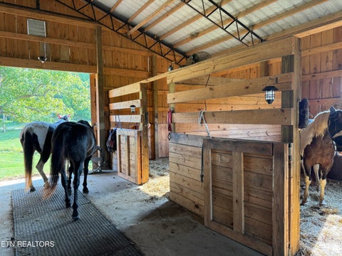 Tiny photo for 3854 Rugby Pike, Allardt, TN 38504 (MLS # 1355981)
