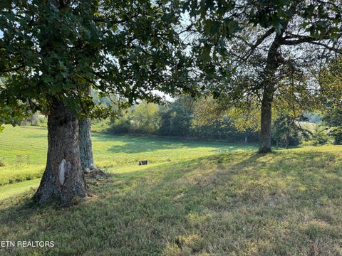 Tiny photo for 3854 Rugby Pike, Allardt, TN 38504 (MLS # 1355981)