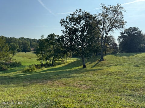 Tiny photo for 3854 Rugby Pike, Allardt, TN 38504 (MLS # 1355981)