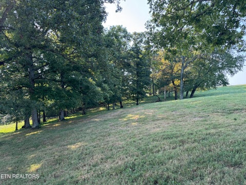 Tiny photo for 3854 Rugby Pike, Allardt, TN 38504 (MLS # 1355981)