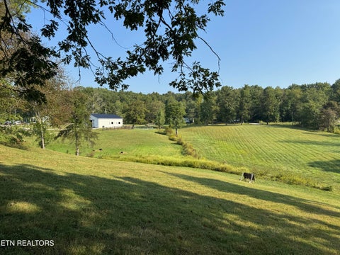 Tiny photo for 3854 Rugby Pike, Allardt, TN 38504 (MLS # 1355981)
