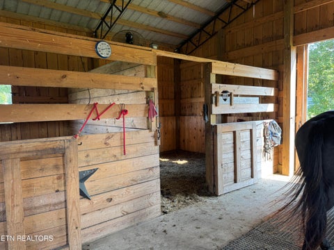 Tiny photo for 3854 Rugby Pike, Allardt, TN 38504 (MLS # 1355981)