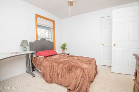 Tiny photo for 106 County Road 189, Decatur, TN 37322 (MLS # 1333964)