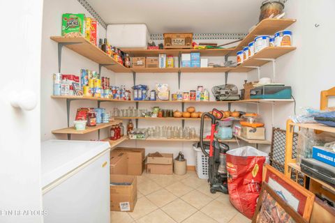 Tiny photo for 106 County Road 189, Decatur, TN 37322 (MLS # 1333964)