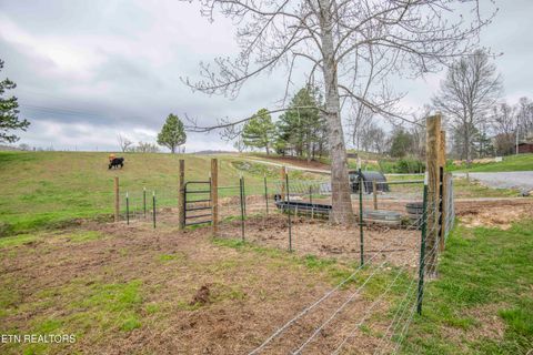 Tiny photo for 106 County Road 189, Decatur, TN 37322 (MLS # 1333964)