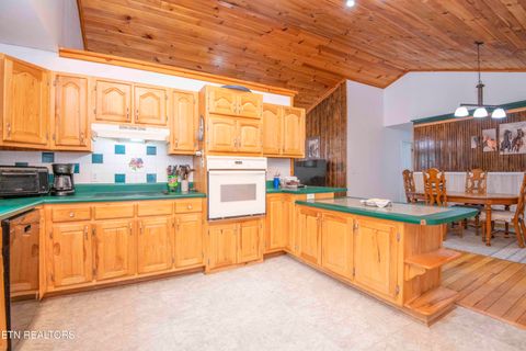 Tiny photo for 106 County Road 189, Decatur, TN 37322 (MLS # 1333964)