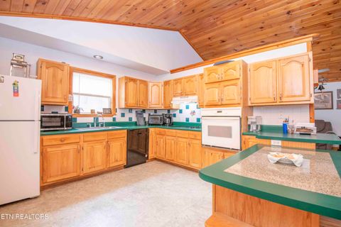 Tiny photo for 106 County Road 189, Decatur, TN 37322 (MLS # 1333964)