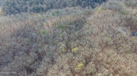 Tiny photo for 434 Hidden Oaks Rd, Rockwood, TN 37854 (MLS # 1333334)