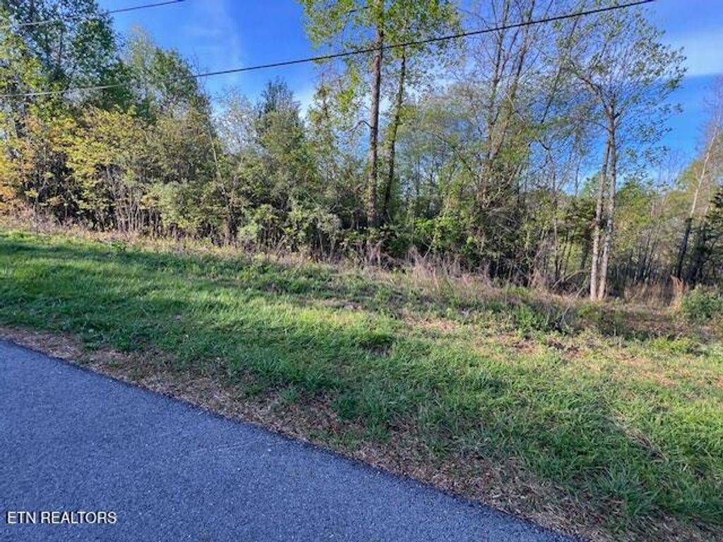 Photo of Pine Hollow Rd, Jacksboro, TN 37757 (MLS # 1336105)