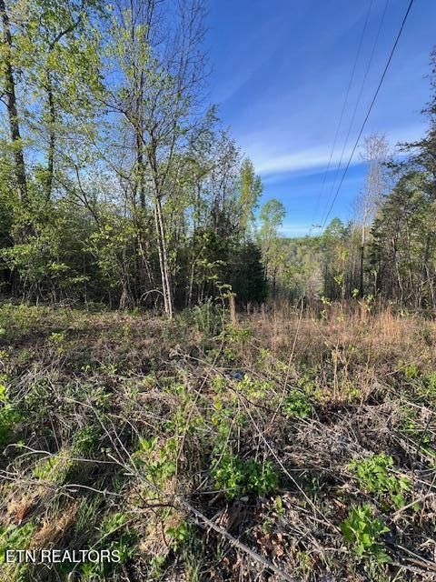 Pine Hollow Rd Jacksboro TN 37757