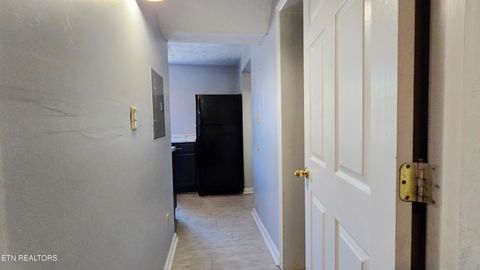 Tiny photo for 1412 Armstrong Ave, Knoxville, TN 37917 (MLS # 1319055)