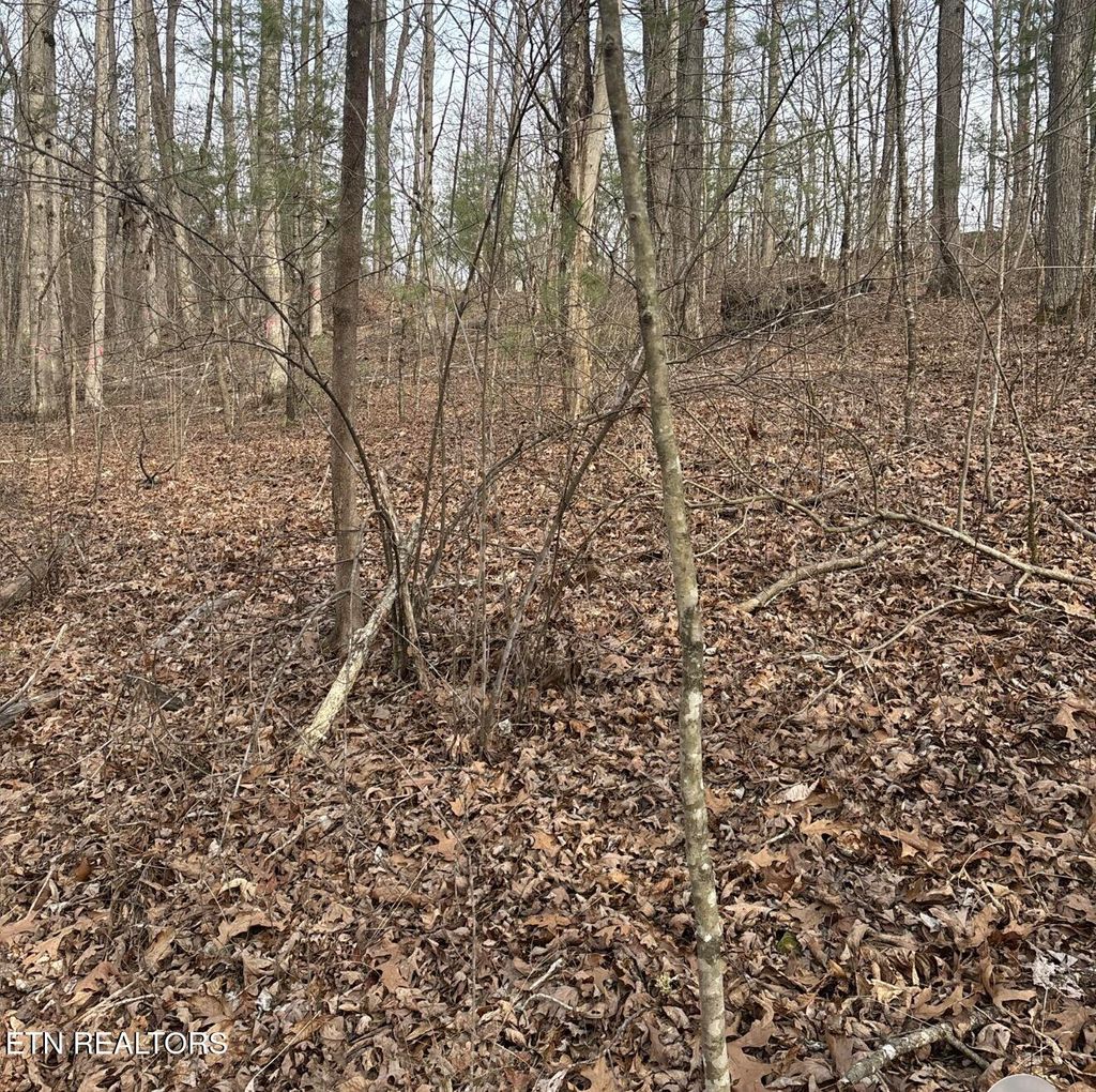 Photo of Brown Creek Drive, Crossville, TN 38571 (MLS # 1332961)