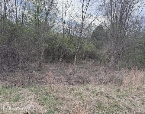 Photo of 145 Foxwood Drive #Lot 6, Kingston, TN 37763 (MLS # 1332645)