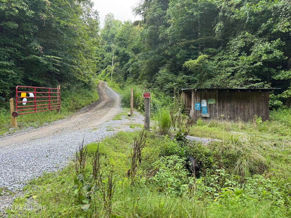 Photo of 301 Holloway Rd, Newport, TN 37821 (MLS # 1310117)