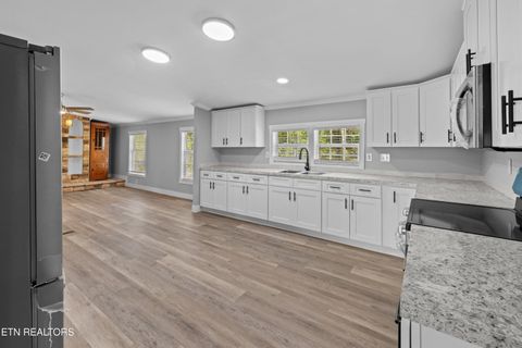 Tiny photo for 779 Silver City Rd, Whitesburg, TN 37891 (MLS # 1337542)