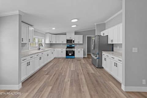 Tiny photo for 779 Silver City Rd, Whitesburg, TN 37891 (MLS # 1337542)