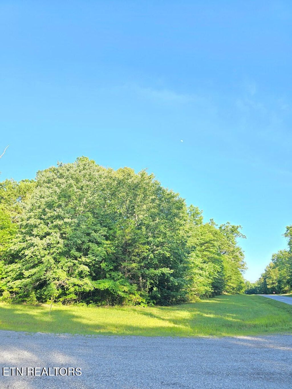 Photo of 0 N Laurel Loop, Monterey, TN 38574 (MLS # 1345842)