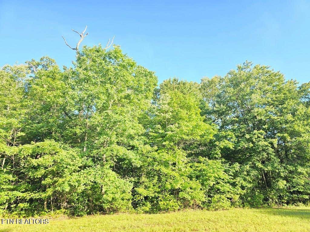 Photo of 0 N Laurel Loop, Monterey, TN 38574 (MLS # 1345842)