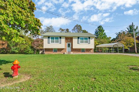 Photo of 141 Crestview Drive, Crossville, TN 38555 (MLS # 1317498)