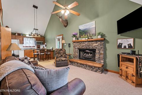 Tiny photo for 233 Ace Gap Rd, Townsend, TN 37882 (MLS # 1344502)