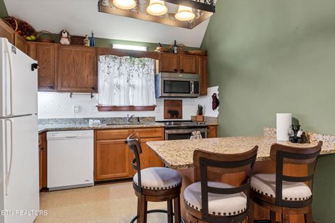 Tiny photo for 233 Ace Gap Rd, Townsend, TN 37882 (MLS # 1344502)