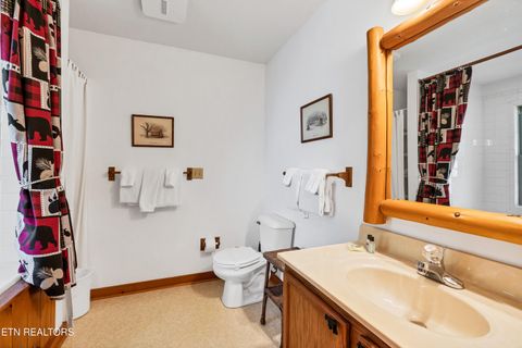 Tiny photo for 233 Ace Gap Rd, Townsend, TN 37882 (MLS # 1344502)