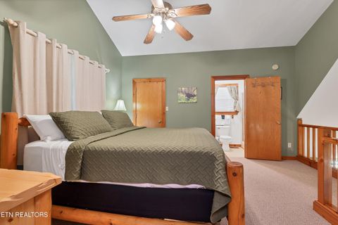 Tiny photo for 233 Ace Gap Rd, Townsend, TN 37882 (MLS # 1344502)