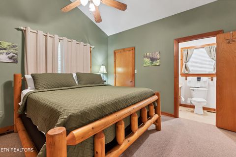 Tiny photo for 233 Ace Gap Rd, Townsend, TN 37882 (MLS # 1344502)