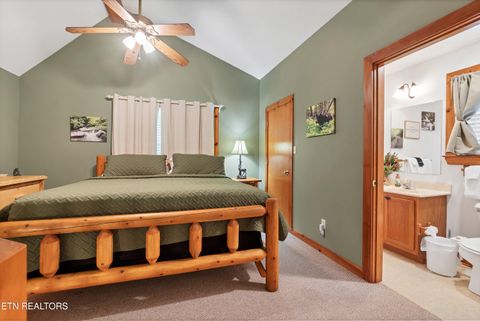 Tiny photo for 233 Ace Gap Rd, Townsend, TN 37882 (MLS # 1344502)