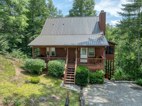 Tiny photo for 233 Ace Gap Rd, Townsend, TN 37882 (MLS # 1344502)