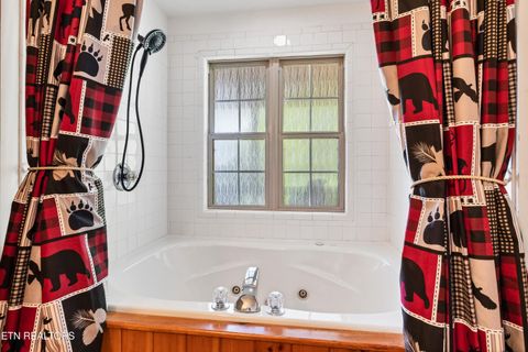 Tiny photo for 233 Ace Gap Rd, Townsend, TN 37882 (MLS # 1344502)