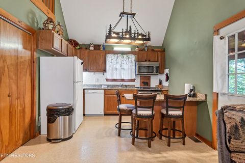 Tiny photo for 233 Ace Gap Rd, Townsend, TN 37882 (MLS # 1344502)