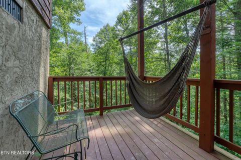 Tiny photo for 233 Ace Gap Rd, Townsend, TN 37882 (MLS # 1344502)